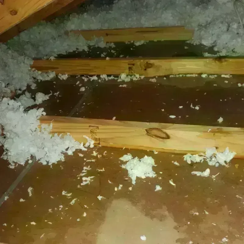 Attic Water Damage in Wicomico County, MD